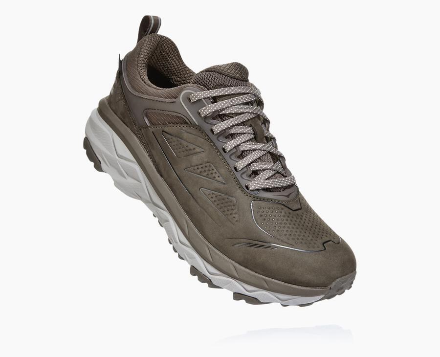 Hoka One One Trainers Womens Brown - Challenger Low GORE-TEX - 45721AFUZ